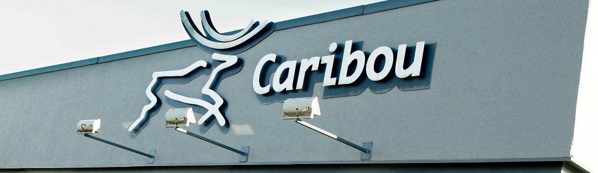 Caribou Sign